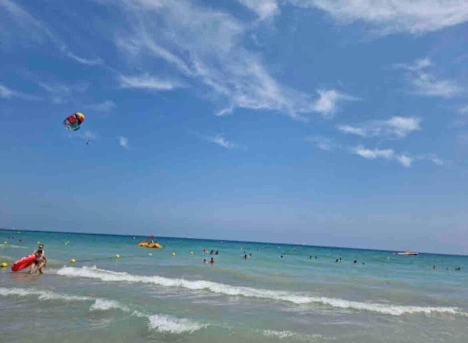 Charming & Spacious Apartment In Historic Centre & Short Walk To Beach アリカンテ エクステリア 写真