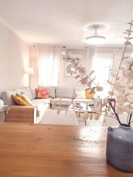 Charming & Spacious Apartment In Historic Centre & Short Walk To Beach アリカンテ エクステリア 写真