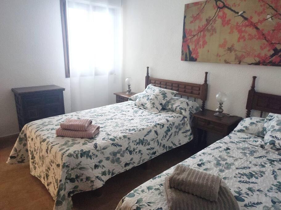 Charming & Spacious Apartment In Historic Centre & Short Walk To Beach アリカンテ エクステリア 写真
