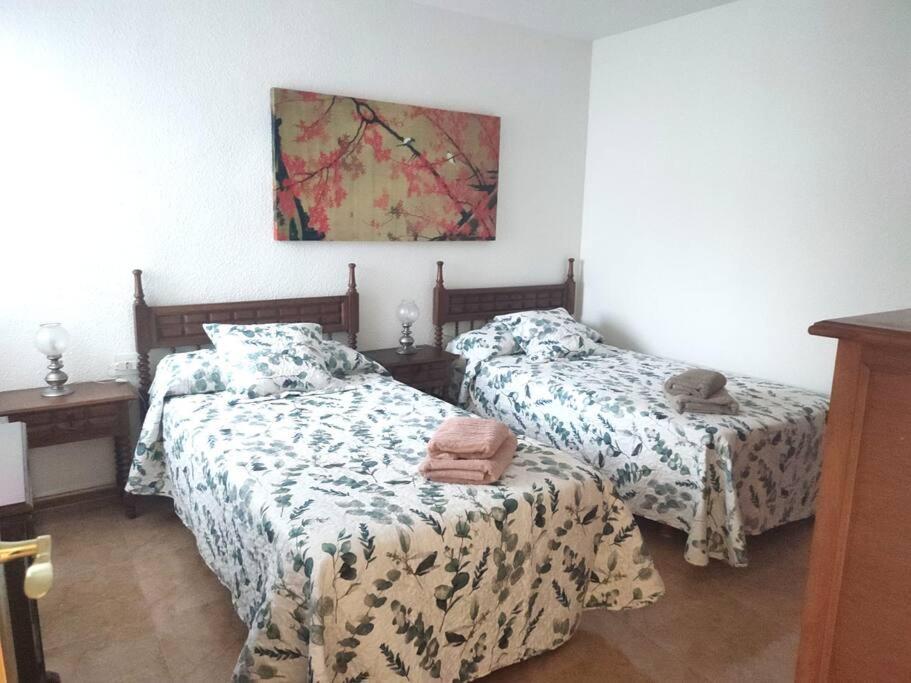 Charming & Spacious Apartment In Historic Centre & Short Walk To Beach アリカンテ エクステリア 写真