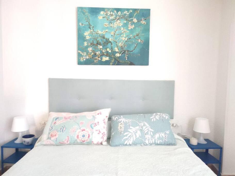 Charming & Spacious Apartment In Historic Centre & Short Walk To Beach アリカンテ エクステリア 写真