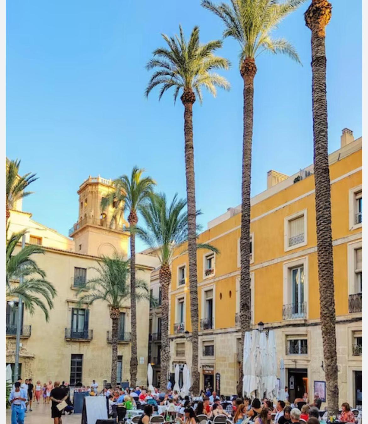 Charming & Spacious Apartment In Historic Centre & Short Walk To Beach アリカンテ エクステリア 写真